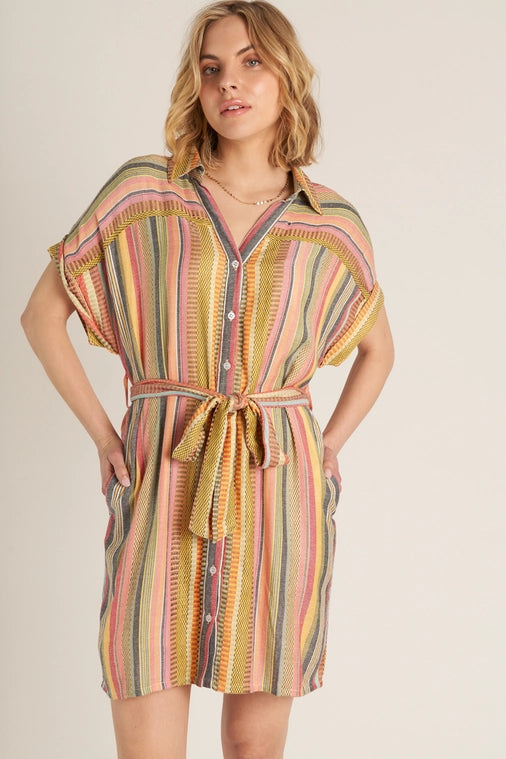 Belted Shirt Dress