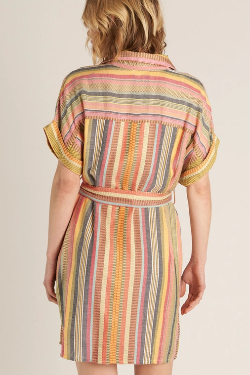 Belted Shirt Dress