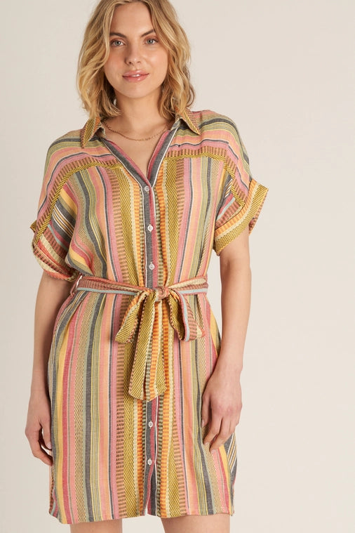 Belted Shirt Dress