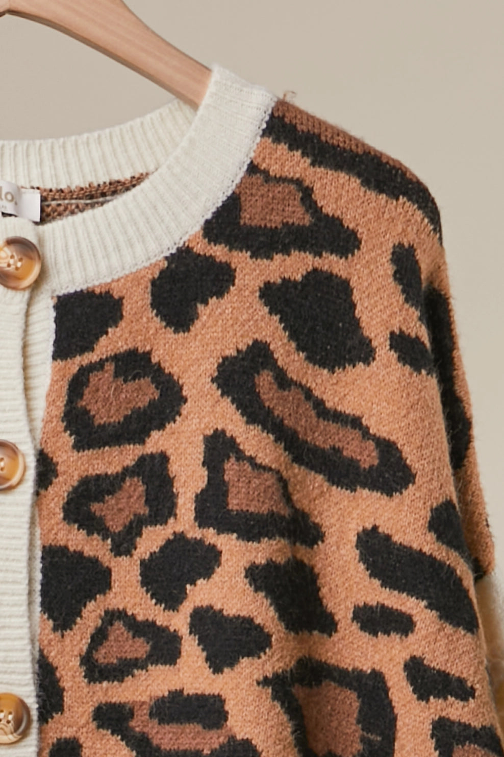 Bold Stripe & Leopard Cardigan