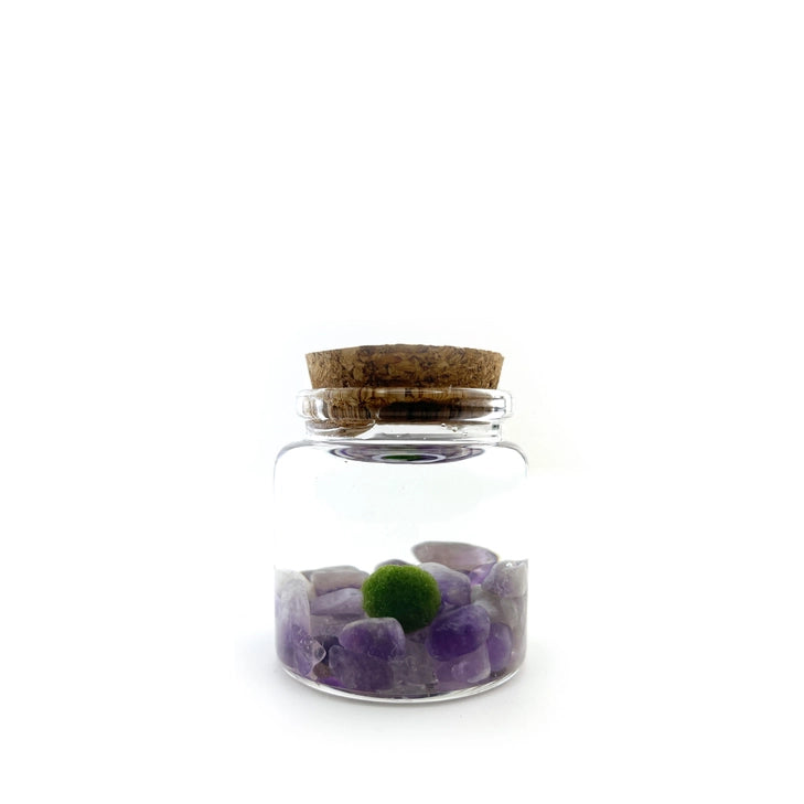 Amethyst Moss Rico