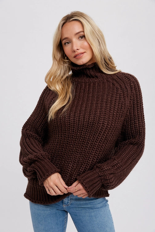 Chocolate Turtle Neck Pullover