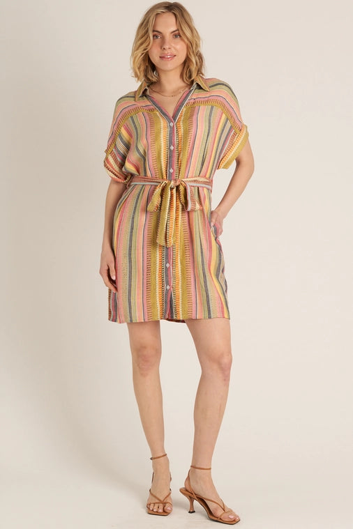 Belted Shirt Dress