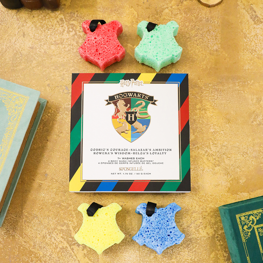 Hogwartsβ’ Gift Set | Harry Potterβ’ Collection