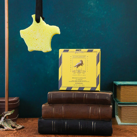 Hufflepuffβ’ Helga's Loyalty Buffer | Harry Potterβ’ Collection