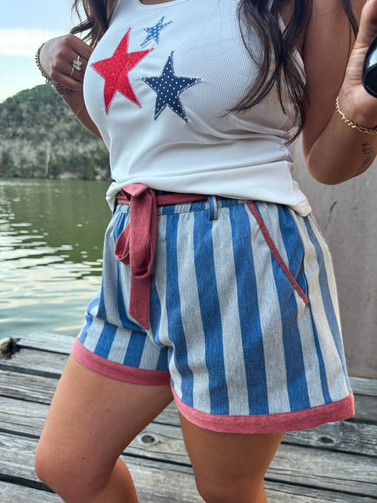 BLUE STRIPE PIPER STRETCH DENIM SHORTS [[PRE-ORDER]]