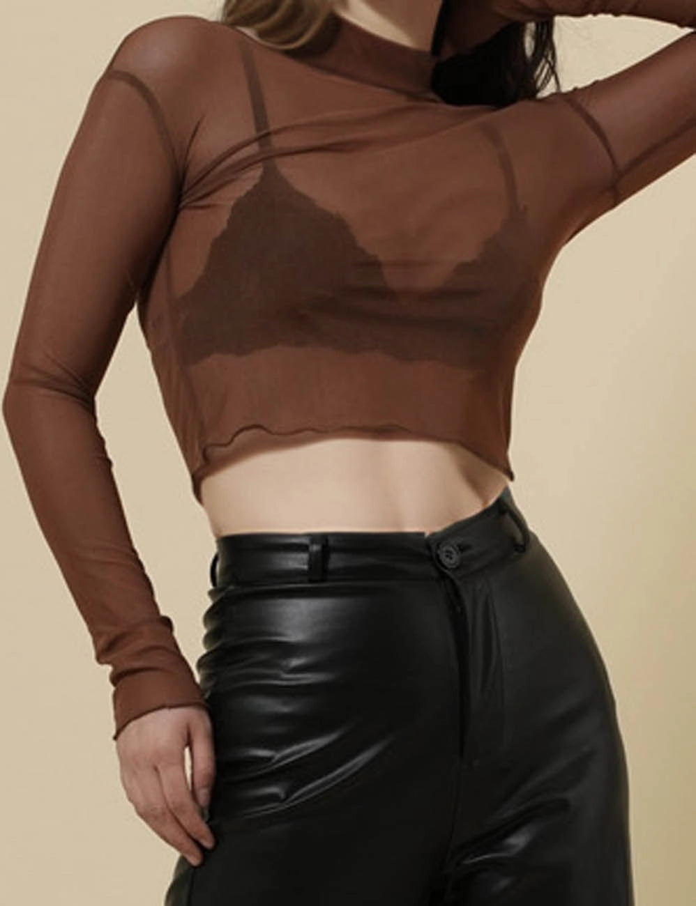 Brown Sheer Cropped Mesh Top